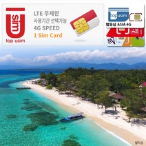 탑유심(ASIA) AIS True 인도네시아 유심 4G LTE 데이터무제한, 탑유심(ASIA) 4G 25일 데이터무제한, 1개