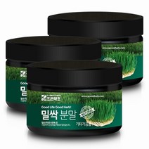조은약초 밀싹가루 120g x 3, 3개