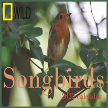 (영문도서) Songbirds calendar 2022: 12 Month Mini Calendar from Jan 2022 to Dec 2022 Cute Gift Idea - P... Paperback, Independently Published, English, 9798516802324