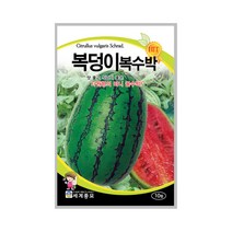 복덩이복수박 10립 수박씨앗 타원형 미니 꿀수박, 단품