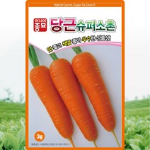 슈퍼소촌 당근 씨앗 당근 씨 종자 3g, 단품