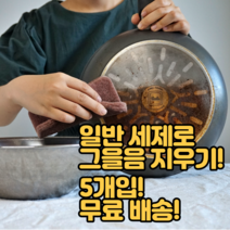 일런드 탄냄비 세척 수세미, 5개, 1개