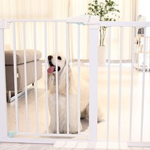 펫초이스 프리미엄 반자동 강아지 울타리 애견 펜스 대형견 철장, 확장패널 11단/ 77cm+고정받침대