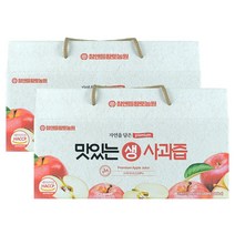 푸르담 맛있는 사과즙, 100ml, 60개입