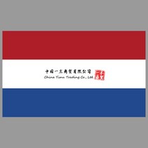 다이캐스트사이버트럭장난감 다이캐스트테슬라사이버트럭 국기 리튬 공화국 데칼 인쇄 물질 스티커 윈도우, 16 라이트 그린_01 wide40cm