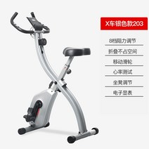 실내 자전거 게임 헬스용 자전거 저소음 좌식, X car 독점 버전 203 자기 제어 음소거 전