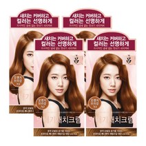 AP 려 우아채 멋내기 새치크림 7O오렌지브라운x4개