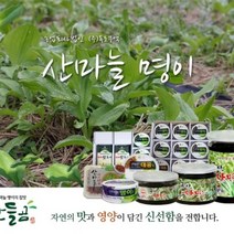 명이절임 2종 95g x 1개, 산마늘
