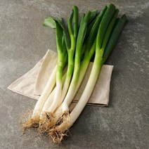 K품종 대파 600G 깐쪽파 유기농쪽파, 기본