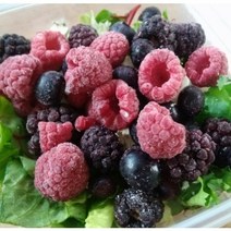 냉동 트리플베리 1kg 냉동라즈베리 냉동블루베리 냉동블랙베리 새콤달콤상콤 냉동 트리플베리 과일 건강한 슈퍼푸드