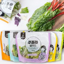 친환경 샐러드 야채 다이어트 샐러드 식단 관리 100gX5팩(5종 중 1세트), 100g, 5팩, 휴엔팜 국내산 혼합 샐러드 (5종 각1팩)
