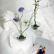 이케바나 꽃꽂이 침봉 수반 투명 화병 볼 세트