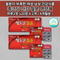 생리 출산후 산모 임신 임산부 철분제 가용성 헴철 햄철 성장기 어린이 청소년 다이어트 어지럼증 에 좋은 철 결핍 결핍성 철분 부족 증상 영양제 종근당 건강 철분 영양제 120캡슐, 2개