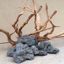 화산석 [1Kg당], 1개