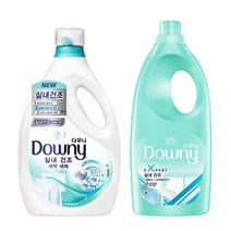 다우니 고농축 엑스퍼트 실내건조 2L + 세탁세제 2L, 1개