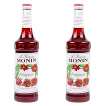 Monin 모닌 Pomegranate 석류 프리미엄 고메 시럽 750Ml 2개