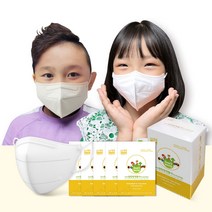 비티비 방탄 투디 황사방역마스크 소형 KF94 흰색, 100매