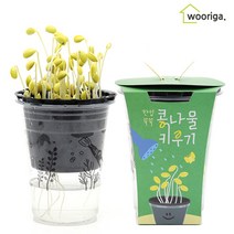 한컵쑥쑥 콩나물 키우기/미니화분키우기 키트 재배기 기르기