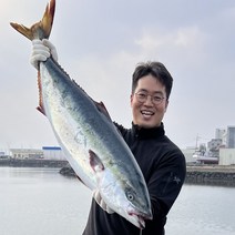 제주 마라도 방어 모슬포 대방어 특방어 필렛 손질 회 택배 국내산 자연산 제철, 7~7.8kg, 1/2마리