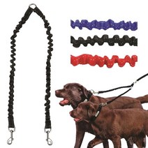 트윈리드 반려동물 안전벨트 목줄 리드줄 산책줄 교육, 에이샵 트윈리드BL05547블루