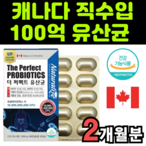 유산균 백억 cfu 신바이오 보장균수 브로바이오틱스 아이 작은 미니 캡슐 중년층 대사산물 유산귤 대용량 고함량 수입산 남노서스 임산부 임삼부 람노시스 루데리 혀소 켑술 컵셀 캅술, 1박스(2개월분)