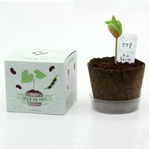 모종 키트 강남콩 옥수수 가지 당근 상추 재배 키우기 체험 유치원 어린이집 답례품 선물X379wV