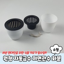 원형 자동급수 저면관수 화분 소형, 단품