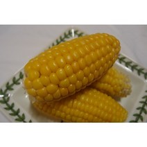 23년 수확분Gmo 걱정없는 흙내음농장 초당옥수수 못난이 30개 1박스