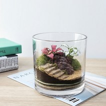 잎새몰 테라리움 키트 이끼테라리움 만들기 DIY 비바리움(사은품: 직선핀셋 20cm), 원통15 x 15 테라리움 키트 + 직선핀셋 20cm, 1개