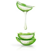 천연사랑 알로에 베라젤 (Aloe Vera Gel), 1개, 1kg