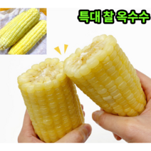 꿀꿀도매 특대 찰옥수수(급냉), 특대찰옥수수 20개
