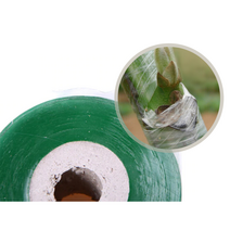 원예용 조경 접목 테이프 과실 농업 식물 나무 테이프 3cm x 100m, 접목 테이프 (3cm x 100m) - 1개