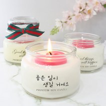 꿈을주는 향기 핸드메이드 소이캔들 잡냄새제거 향초 250ml, 피오나