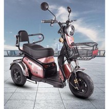 전동 킥보드 배터리 교체 전기 세발자전거 리드 산성 60V 800W 20A 라이딩 45-65km 성인 가정용 여자 노인 오토바이 신제품 169450, 48V500W 20AH35-55KM 2