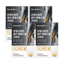관절 연골 엔 옵티 엠에스엠 2000 식이유황 미국산 고순도 99.9% OPTI MSM, 4개, 60정