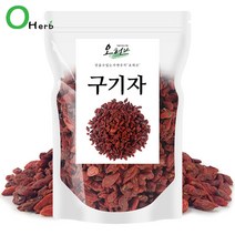 구기자 모음 진도 구기자 분말 가루 영하 구기자 분말 구기자차 구기자물 구기자티백 구기자환 고지베리 청양구기자 건구기자 말린구기자, 영하 구기자 500g