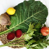 친환경 유기농 케일 즙용 케일 당일수확 산지직송, 유기농 케일 2kg, 1개