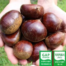 2023년 공주 정안밤 대 특 2kg 4kg 공주밤 알밤 햇밤 산지직송 GAP인증, 공주 정안밤 특 4kg, 1개