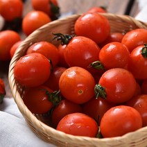 (초록자연) 대추방울토마토 5kg(가정용) 방울토마토, 1개