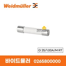 바이드뮬러 Weidmuller 퓨즈 단자대 블록 G 25/1.00A/M RT 0265800000, 1개