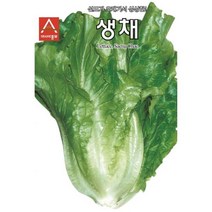 (상추종자씨앗) 아삭이상추 생채(6000립) S2338