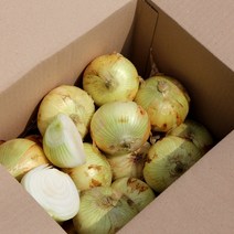 항채원 달큰아삭 신선한 국내산 햇양파 특대(350g이상) 당일선별 망포장 오늘출발, 1개, 대1kg