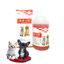 클로시딘 250ml 독 캣 강아지 고양이 소독약 반려동물소독약 약국정품
