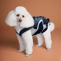 강아지 척추 보호대 허리 디스크 보조기, S