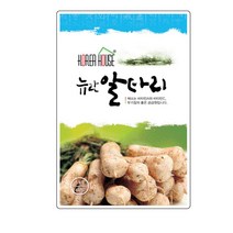 SN월드 뿌리채소 씨앗 무 당근 양파 알타리무 비트 콜라비 과일무