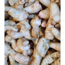 태국식품 태국갈랑가 양강근 태국 령 200g 500g 1kg 갈랑가 worldfood, 갈랑가(령)200g, 1개