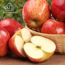 [웰굿] 경북직송 가정용 부사 사과 2.5kg(9-11과 중과)