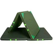 두꺼운 운동 매트 체육관 매트리스 낙상 방지 폴딩, 국가 표준 캔버스 1.2x2mx10cm 접이식