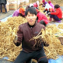 더굿진생 금산인삼 수삼 원수삼 난발삼 못난이 파삼 350g, 1개, (세척안함)알뜰형 350g(8~10뿌리)