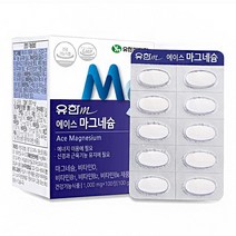 유한메디카 에이스 마그네슘 100일분, 1000mg, 2통